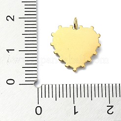 Ion Plating(IP) 304 Stainless Steel Pendants&nbsp;STAS-B058-31C