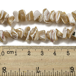 Natural Trochus Shell Beads Strands&nbsp;SSHEL-H072-09