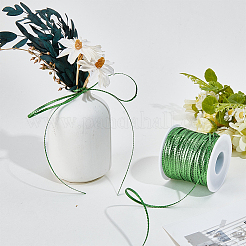 95mのナイロンドレッドヘアバンド  フラット  ワイヤー用の1個のプラスチック製の空のスプール付き  グリーン  3mm  約103.89ヤード（95m）/セット&nbsp;OCOR-GF0006-39B