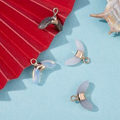 4個4スタイルの混合宝石用原石のペンダント  ゴールデン真鍮パーツ  ダブルホーン/三日月  12x16x4mm  穴：1.5mm  1個/スタイル&nbsp;G-SZ0001-42
