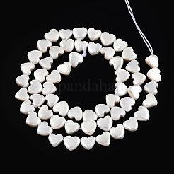 Natural Freshwater Shell Beads Strands&nbsp;SHEL-N026-220B