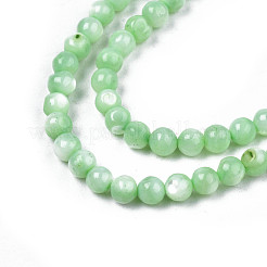 Natural Freshwater Shell Beads Strands&nbsp;SHEL-N003-24-B03