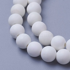 Natural Magnesite Beads Strands&nbsp;G-F592-03-10mm