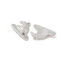 Alloy Pendants&nbsp;FIND-B047-02A-P