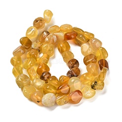 Natural Yellow Opal Beads Strands&nbsp;G-P497-01E-34B