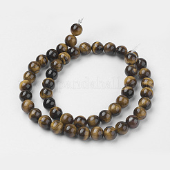 Natural Yellow Tiger Eye Bead Strands&nbsp;G-G735-65-8mm-AB+