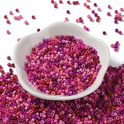 Baking Paint Glass Seed Beads&nbsp;SEED-S042-05A-09