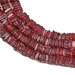 Natural Red Garnet Beads Strands&nbsp;G-Z152-F03-03