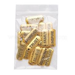 18Pcs 18 Style Tibetan Style Alloy Rectangle Pendants&nbsp;TIBEP-YW0001-34AG