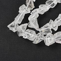 Natural Quartz Crystal Beads Strands&nbsp;G-Q023-A02-01
