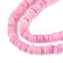 Natural Freshwater Shell Beads Strands&nbsp;SHEL-Q028-01E