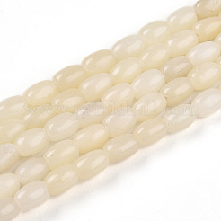 Natural White African Opal Beads Strands&nbsp;G-N346-02A-10