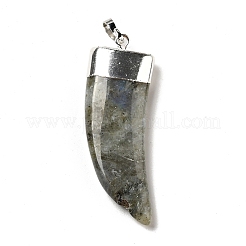 Natural Labradorite Pendants&nbsp;G-P474-04S-03