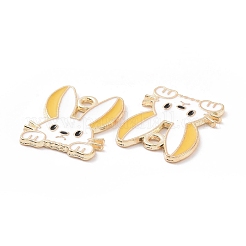 Alloy Enamel Pendants&nbsp;PALLOY-D015-08