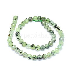 Natural Prehnite Beads Strands&nbsp;G-F602-01-8mm