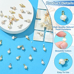 30Pcs 2 Colors Natural Cultured Freshwater Pearl Pendants&nbsp;PALLOY-YW00232