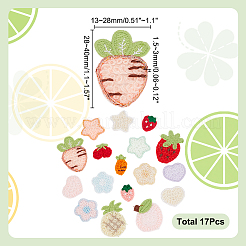 Strawberry/Carrot/Star Embroidery Cloth Sew on Appliques&nbsp;PATC-WH0008-135