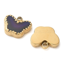 304 Stainless Steel Charms&nbsp;STAS-Q345-16G