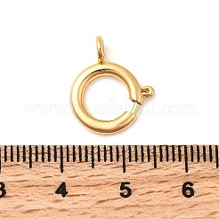 Brass Spring Ring Clasps&nbsp;X-KK-D407-20G-D