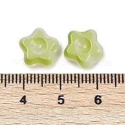 透明ガラスビーズ  スター  焼き付け塗料  ミックスカラー  10.5x11x5mm  穴：1mm&nbsp;DGLA-E004-12A
