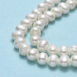 天然養殖淡水パールビーズ連売り  ポテト  ベージュ  4.5~5.2x6~6.5x5~5.5mm  穴：0.7mm  約68~70個/連  13.70~13.78インチ（34.8~35cm）&nbsp;PEAR-F018-16A-01