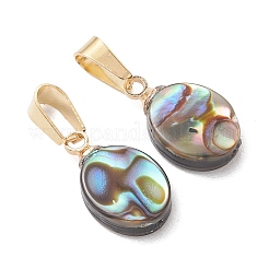 Abalone Shell/Paua Shell Pendants&nbsp;PALLOY-JF05265