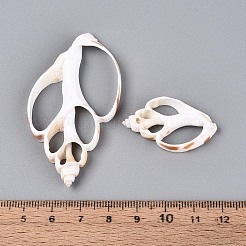 天然石シェルビッグサイズペンダントトップ  シェルスライスチャーム  貝殻色  34~63x20~34x5~6mm  穴：8~15x16~30mm&nbsp;BSHE-T015-19