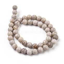 天然のマイファナイト/マイファンストーンビーズ連売り  ラウンド  8mm  穴：1mm  約46個/連  15インチ&nbsp;X-G-I187-8mm-01