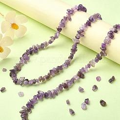 Natural Amethyst Chip Beads Strands&nbsp;G-YW0002-09