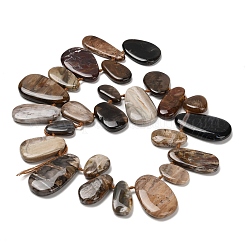 天然石ペトリファイドウッドビーズ連売り  ティアドロップ  トップ掘削  13.5~41x10~25x5~7mm  穴：1mm  約28~30個/連  15.75~15.94インチ（40~40.5cm）&nbsp;G-C253-06