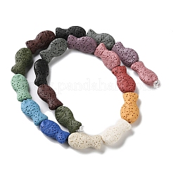 Fish Dyed Natural Lava Rock Beads Strands&nbsp;G-O126-01A-14