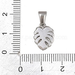 303 Stainless Steel Pendants&nbsp;STAS-K325-22C-P