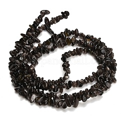 天然銀光沢の黒曜石ビーズ 連売り  チップ  3~4x4~13x1.5~4mm  穴：0.5~0.6mm  27.44~30.39''（69.7~77.2センチメートル）&nbsp;GG-CBAE051-A03-02