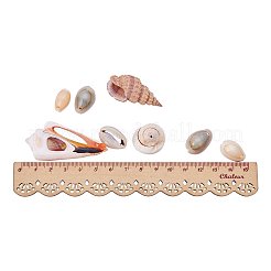 ナチュラルトランペットシェルビーズ  染め  混合図形  ミックスカラー  16~45x8~27x8~27mm  穴：1~2mm  約115~125個/箱&nbsp;BSHE-PH0001-11