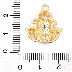 Alloy Enamel Pendants&nbsp;FIND-I066-05G