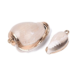 Electroplate Natural Spiral Shell Pendants&nbsp;SSHEL-Q100-51G
