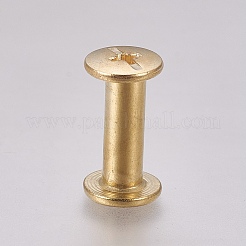 Iron Screw Rivets&nbsp;IFIN-WH0051-09B-G