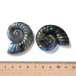 Natural Labradorite Cabochons&nbsp;G-I368-A03
