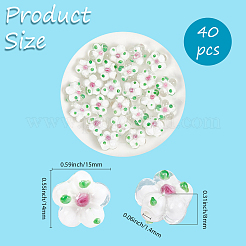 40Pcs Handmade Lampwork Beads&nbsp;LAMP-PA0001-11A