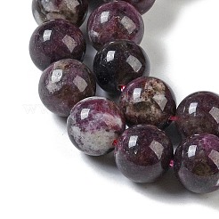 Natural Plum Blossom Tourmaline Beads Strands&nbsp;G-K364-B01-03