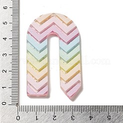Acrylic Pendants&nbsp;LS-OACR-H113-01I