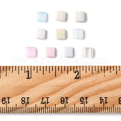 100Pcs 10 Styles 2-Hole Glass Seed Beads&nbsp;SEED-FS0001-45