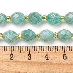 Natural Amazonite Beads Strands&nbsp;G-N342-46