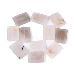 Dyed Natural white Agate Beads Strands&nbsp;G-T144-25B-01