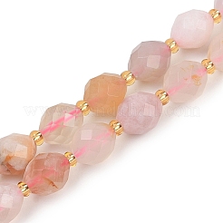 Natural Cherry Blossom Agate Beads Strands&nbsp;G-N342-149D