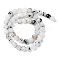 Natural Rainbow Moonstone Beads Strands&nbsp;G-Q1001-A05-03