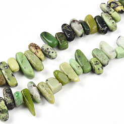 Natural Serpentine Beads Strands&nbsp;G-T140-62
