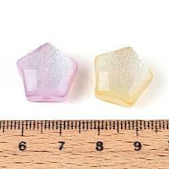 透明樹脂ビーズ  スター  グリッターパウダー付き  ミックスカラー  15x16x10mm  穴：2mm&nbsp;RESI-N048-10