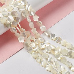 Natural White Shell Beads Strands&nbsp;SHEL-F003-07