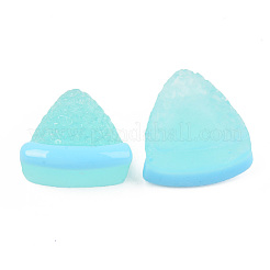 Resin Cabochons&nbsp;CRES-R197-04